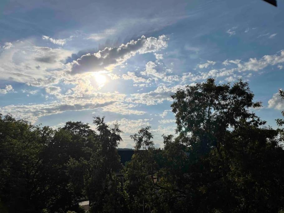 Villa Kunterbunt Gera Dış mekan fotoğraf